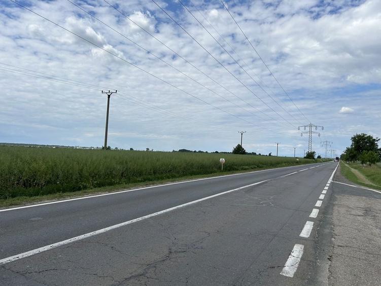 Teren de vanzare-Nucet ( Dambovita ) 17380 MP - 4