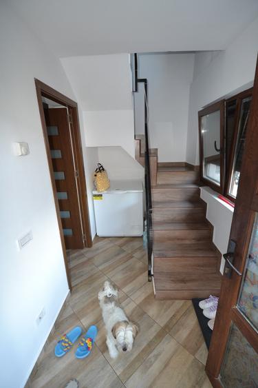 Vila centru Pantelimon - 40