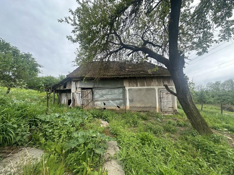 Casa, anexa si teren intravilan - 2