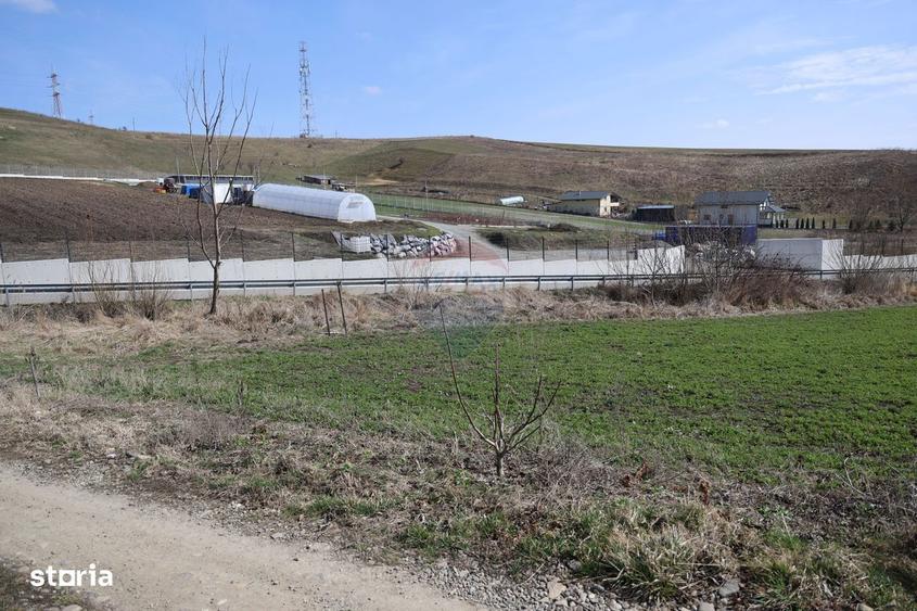 Teren 3,500mp Moara / Strada Pprincipala - 4
