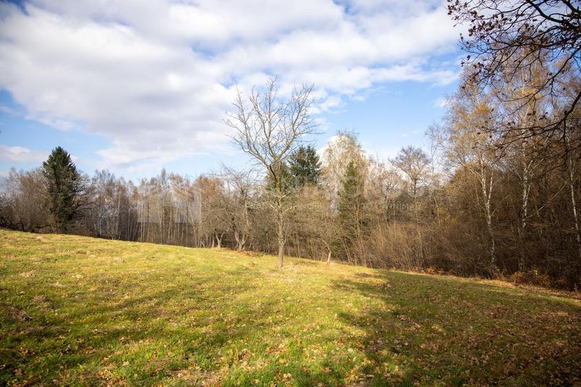 Teren intravilan, cu PUZ, Bran Tohanita,  SE ACCEPTĂ ȘI SCHIMB - 5