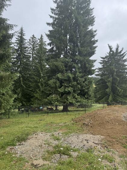Casă cu 3 camere în Piatra