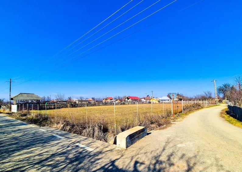 Teren Intravilan Cuca Arges - 7