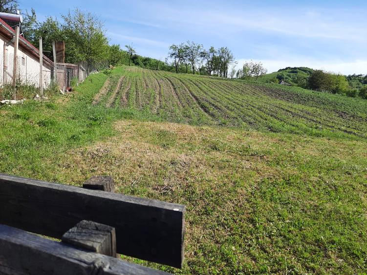 Vand teren intravilant 15 ari - 1