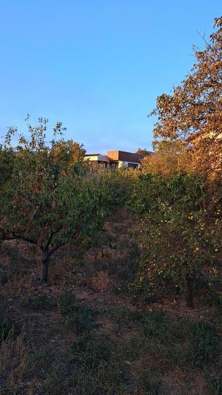 Oportunitate dezvoltare/constructie  2 proprietati Casa+teren 2200 m2,zona buna, - 8