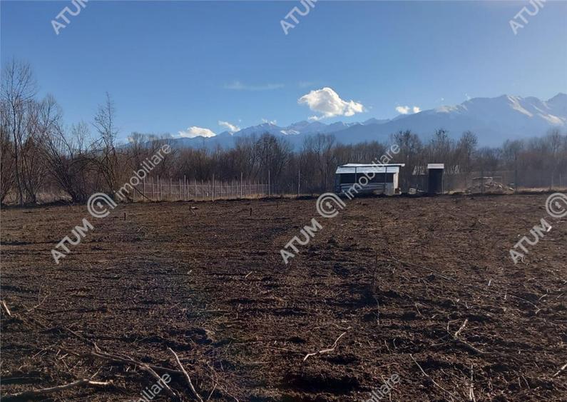 Teren intravilan de 1900 mp in Avrig zona Valea Avrigului - 8
