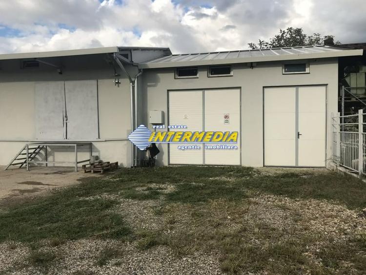 HALA CU MULTIPLE ACTIVITATI I 265  MP I TEREN 608 MP I Alba Iulia I - 2