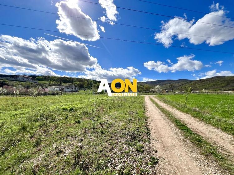 Teren de vanzare, 39ml deschidere, 1300mp teren, zona Micesti - 3