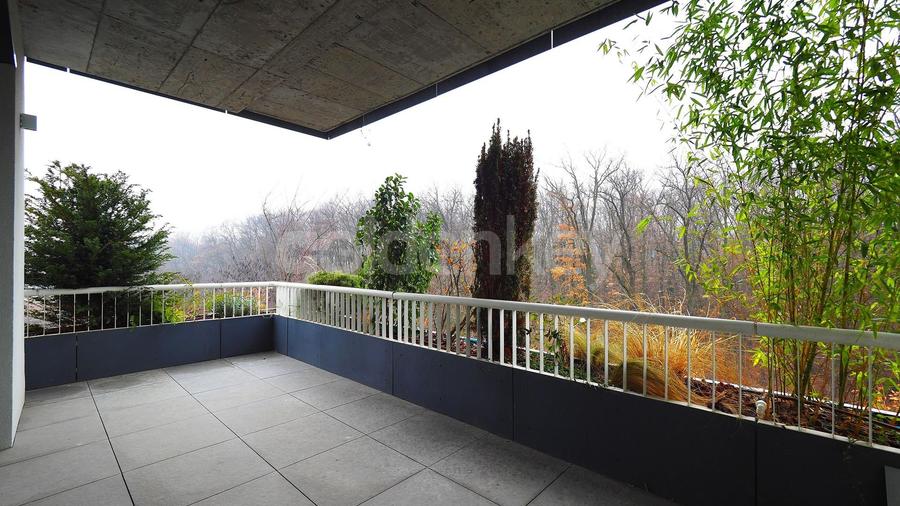 Apartament cu 4 camere in fata padurii | 2 garaje | 44mp terase - 1