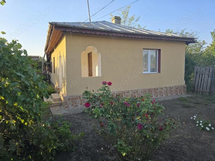 Casa la tara in Jud. Buzau - 11