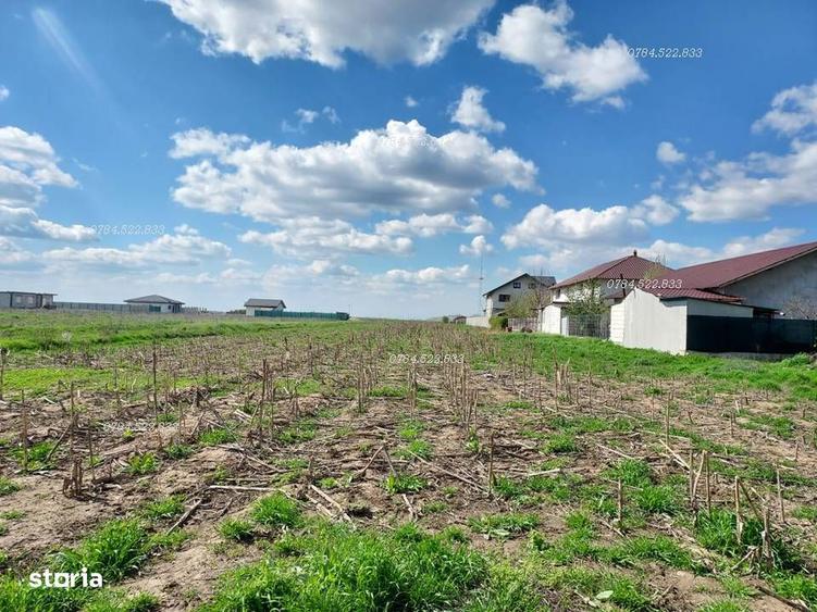 Teren 500 m2 dubla deschidere, construc?ie imediata, Berceni IF - 6