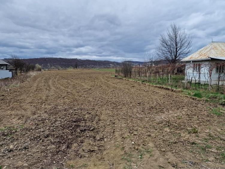 Teren intravilan in Sanduleni/Bacau de vanzare - 9