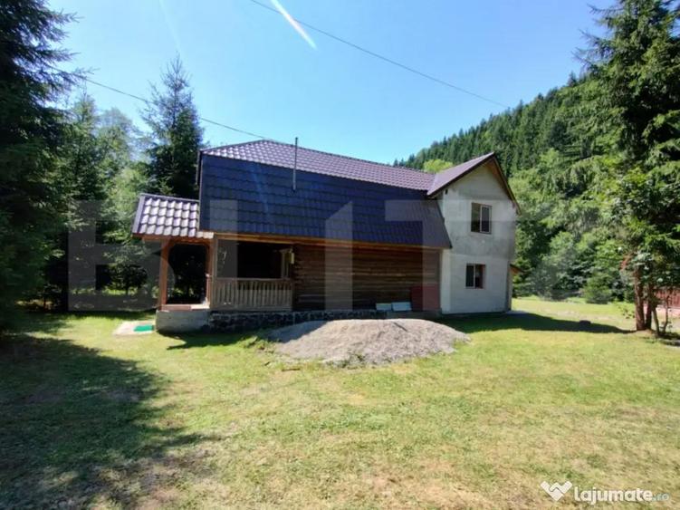 Cabana 4 camere Lunca Bradului - 18