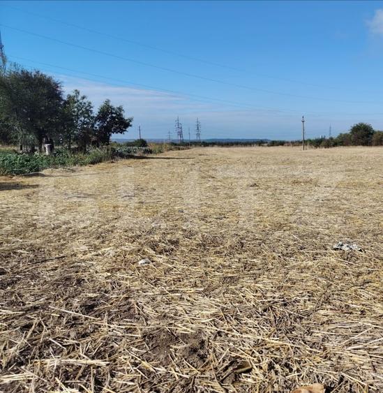 Teren Isalnita intravilan, 2500 mp, toate utilitatile - 2