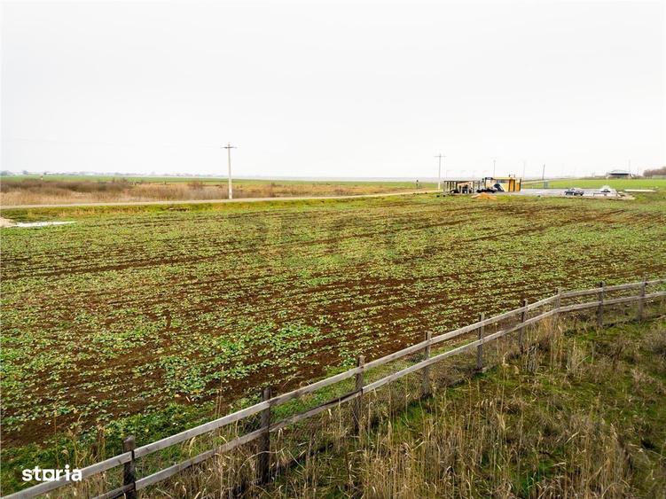 RECO . Teren extravilan 5000mp , 110ml front . - 7