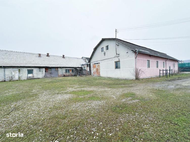 Fabrica DE VANZARE in Tarnaveni - 6