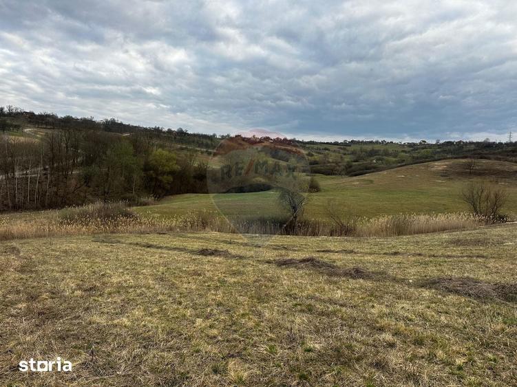 Teren cu panorama superba in Berchezoaia + bonus rulota - 6