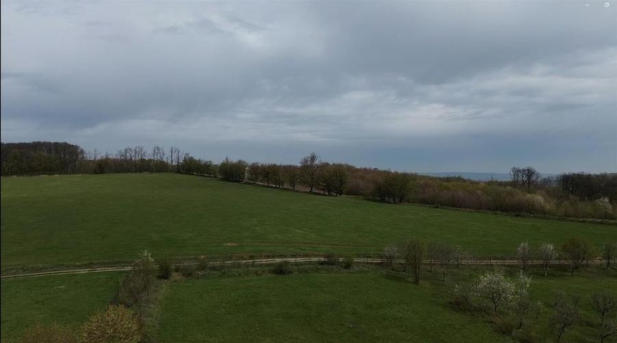 Teren intravilan 5800 mp Mitocasi - Suceava! - 9