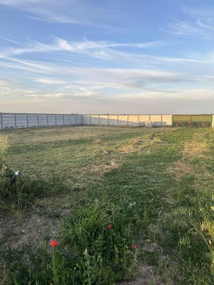 Teren de vanzare Tunari-Dimieni 800m2 cu autorizatie de constructie - 2