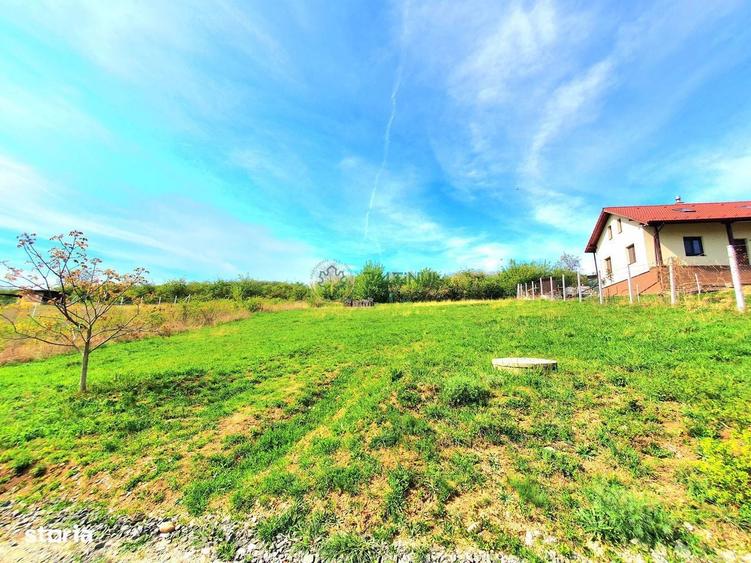 Teren Intravilan 708 mp cu PUZ Aprobat si autorizatie de constructie! - 4