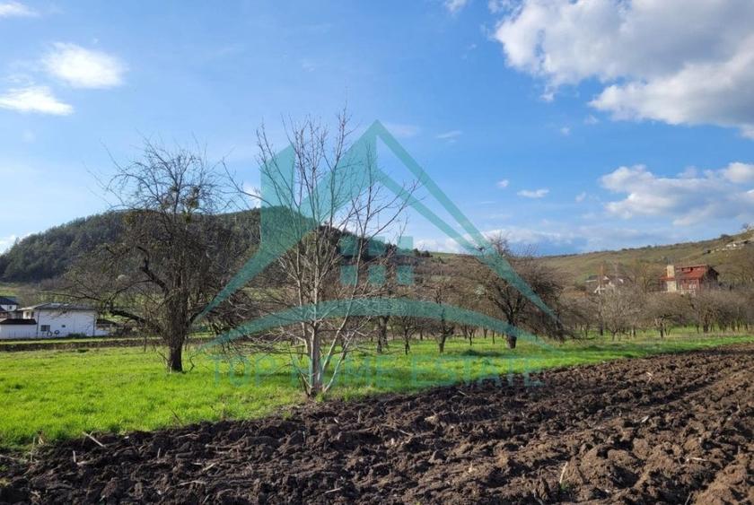 EXCLUSIVITATE! Teren intravilan de vanzare in zona linistita, sat Vlaha! - 11
