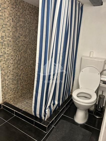 Apartament  , ultracentral, Regim Hotelier/60 mp utili - 13