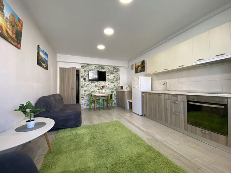 Apartament cu 2 camere de inchiriat - 7