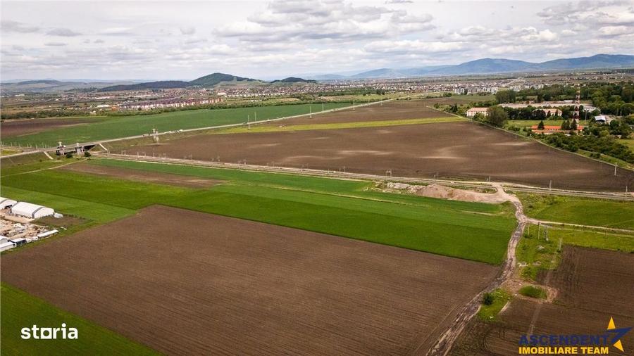 FILM! Teren intravilan, cu PUZ, pe 10.000 mp, Grivitei, Brasov - 5