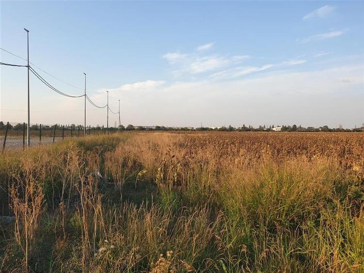 Teren intravilan zona Borsului - 2