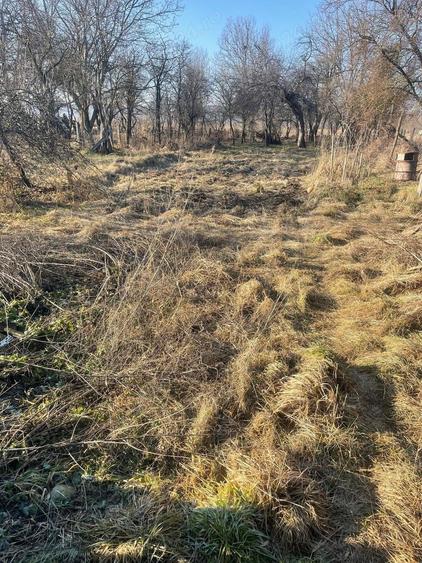 Vand casa in Scoreiu - 1