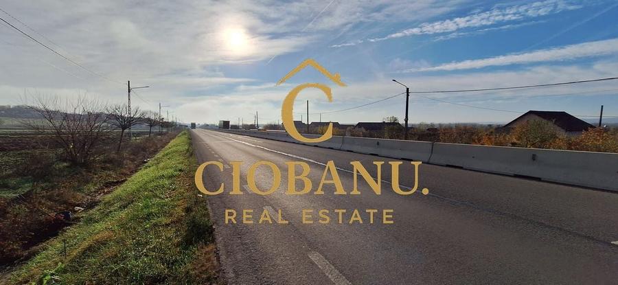 Hala de vanzare in Racarii de Jos - 18