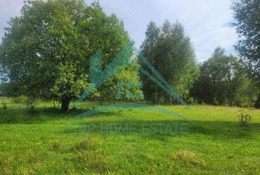 Teren pentru cabana pensiune zona Lac Micesti! - 11