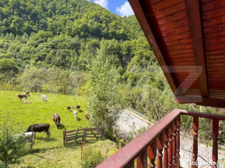 Casa de vacanta cu 4 camere, 1470 mp teren, Sugag - 8