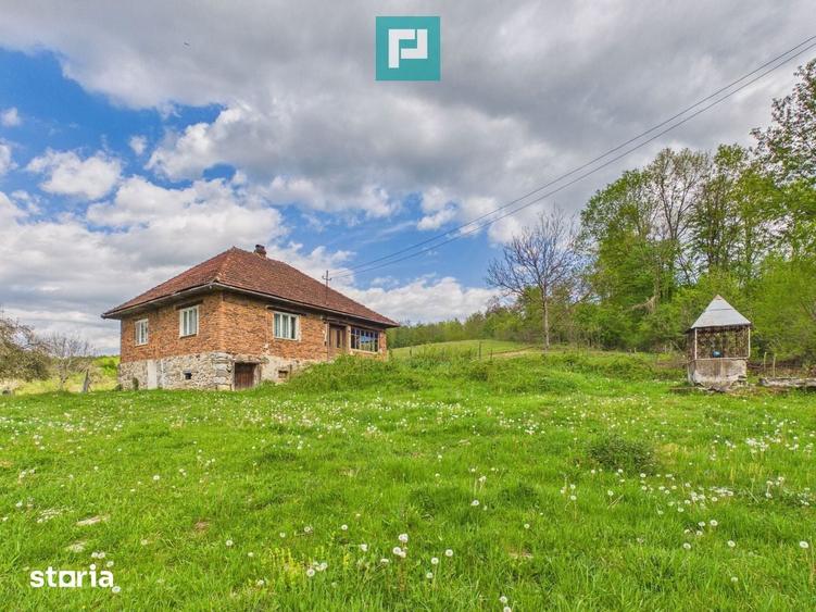 Casa cu teren de 17.681 mp, in loc. Halmagel, Arad - 4