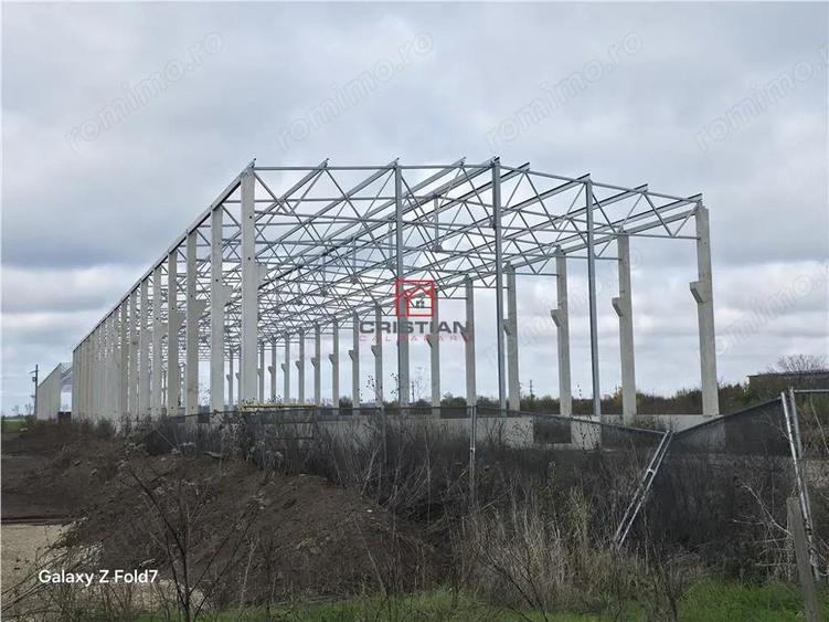 Inchiriere depozit hala spatiu industrial Mogosoaia - Buftea - 8