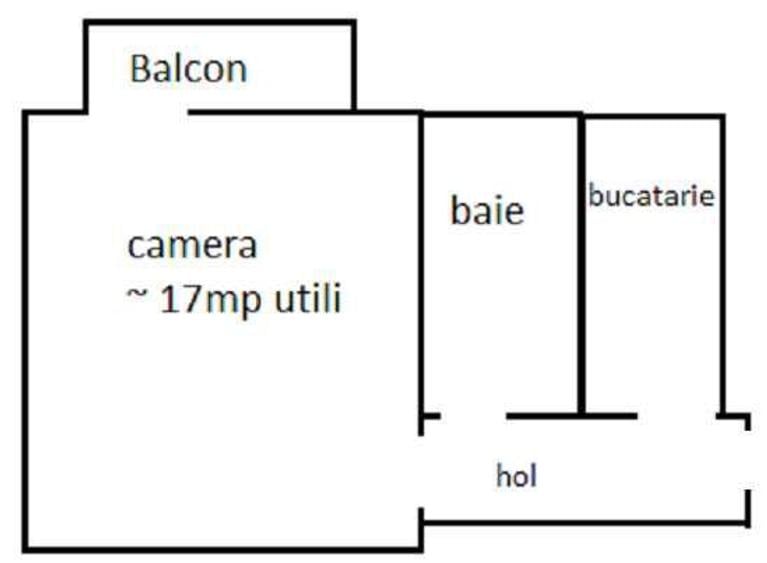 Apartament cu o camera - Take Ionescu - 2