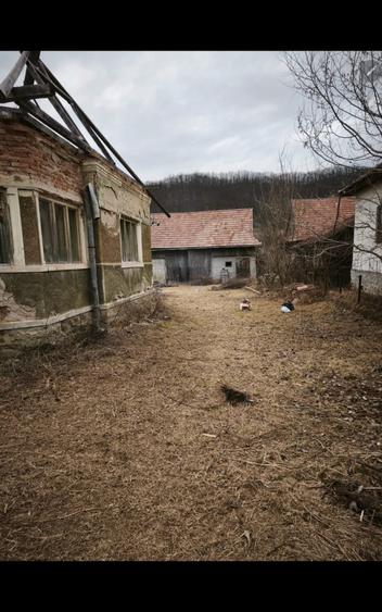 Teren intravilan, 2848 MP, Arghisu - 4