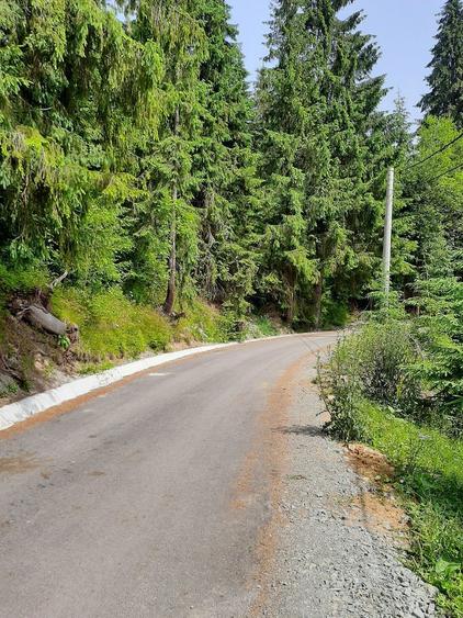 Vand Teren Belis aproape de lac - 3