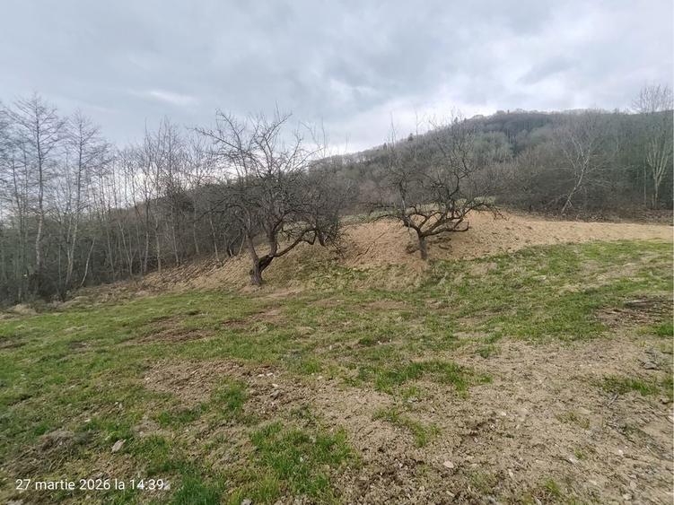 Teren extravilan Sibiel - Fantanele , vedere panoramica - 5