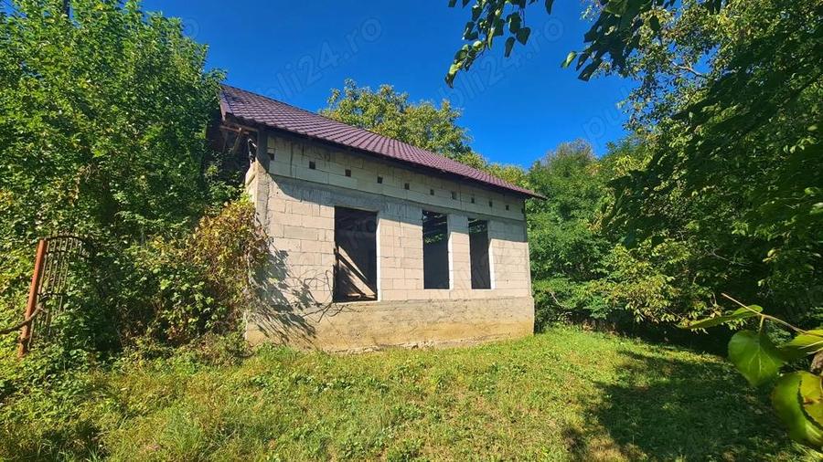 Casa la ro?u + 4391 mp teren de vanzare in comuna Valea Danului, sat Borobane?ti, jude? Arge?. - 11