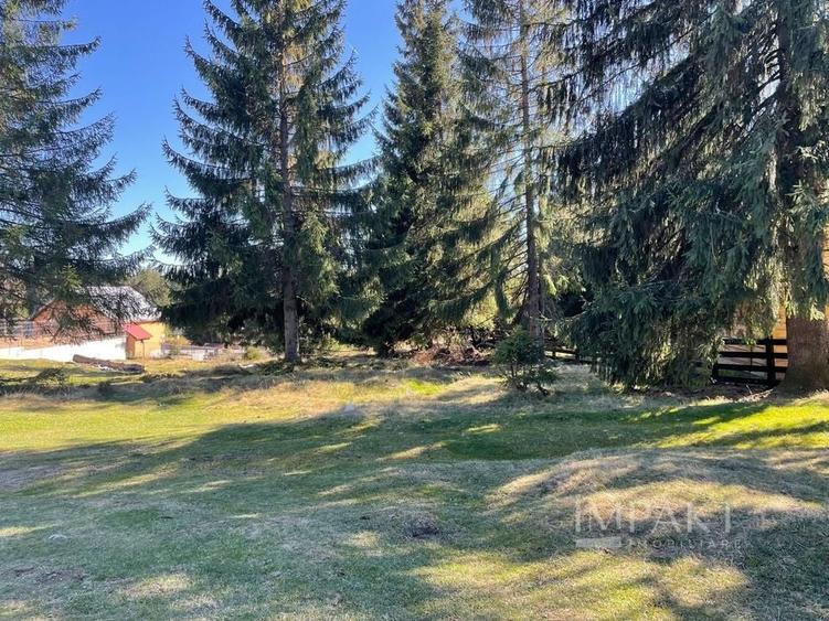 Teren Intravilan de 3300 mp de Vanzare in Marisel - 1