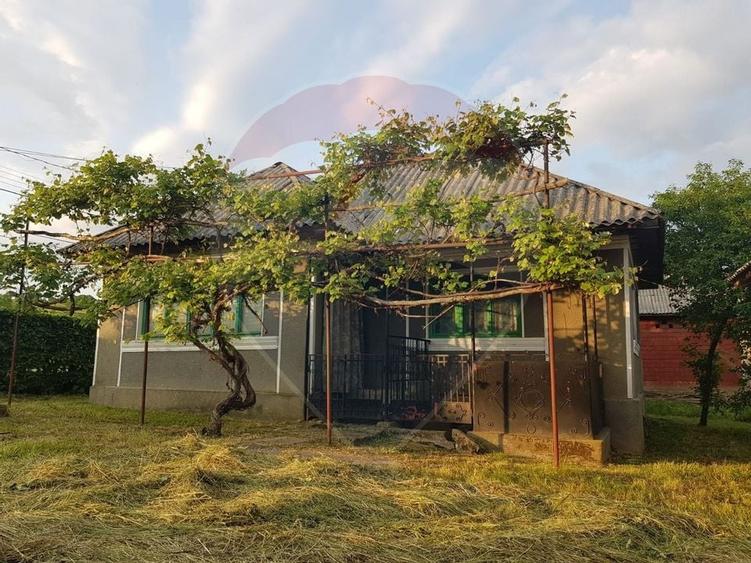 Casa / sura Trestia jud.MM, in suprafata de 116mp / 4000mp de teren - 6