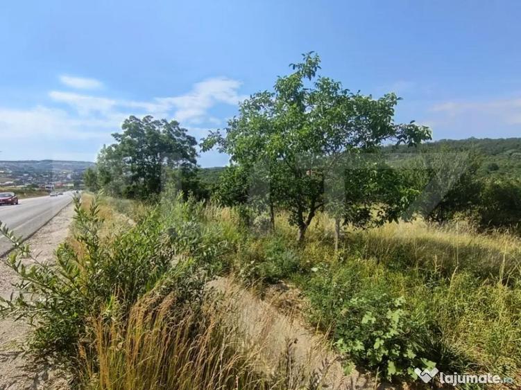 Teren intravilan, de vanzare, 1252 mp, zona Arghires - 1