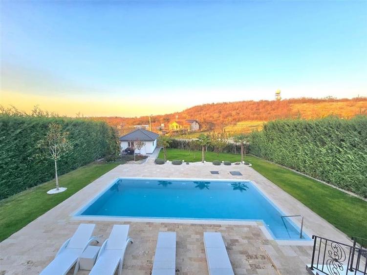 VILA DE LUX | 7 CAMERE | ONCEA | BIHOR - 6