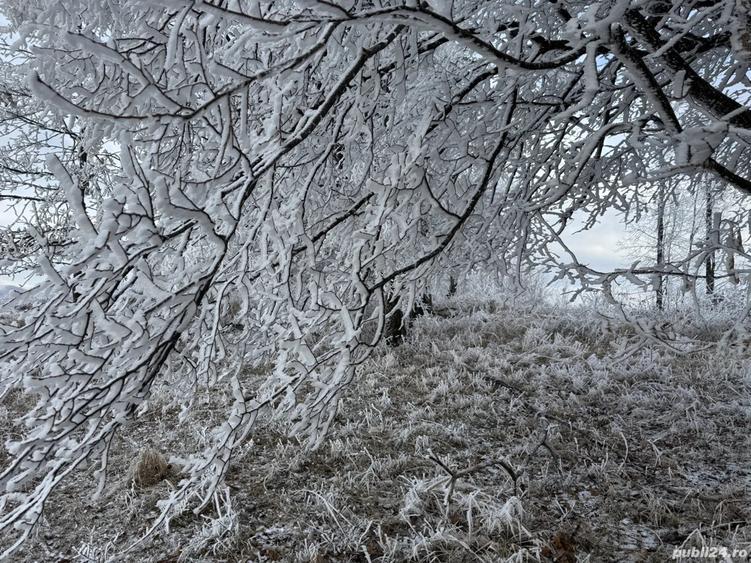 Apartament lux 2 camere de inchiriat Future Residence - 18