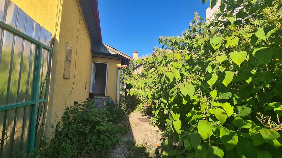 CASA CU CURTE - RACADAU - 1