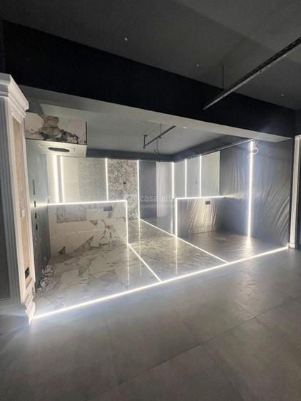 Tatarasi - Doi Baieti, spatiu 480mp de inchiriat, ideal showroom - 11