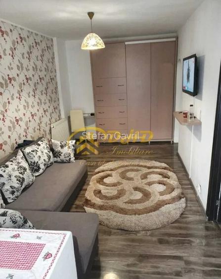 Apartament 1 camera Pacurari