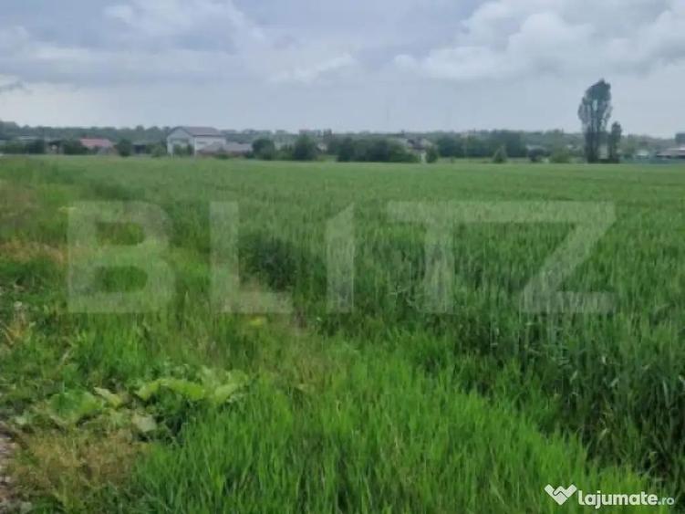 Teren pentru casa intravilan , 800 mp deschidere la drum Bod - 5