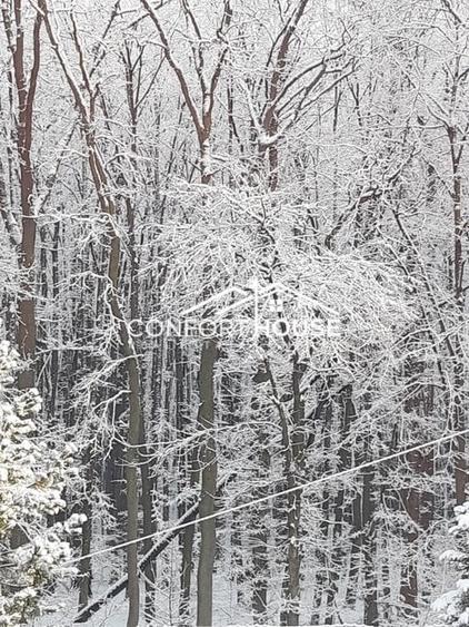 VILA D+P+E+M, 12 camere, piscina , padure, IANCU NICOLAE - 39